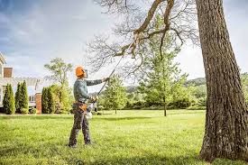 Best Tree and Shrub Care  in Dawson, TX