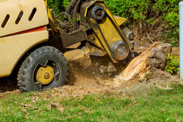 Best Soil Testing and Treatment  in Dawson, TX